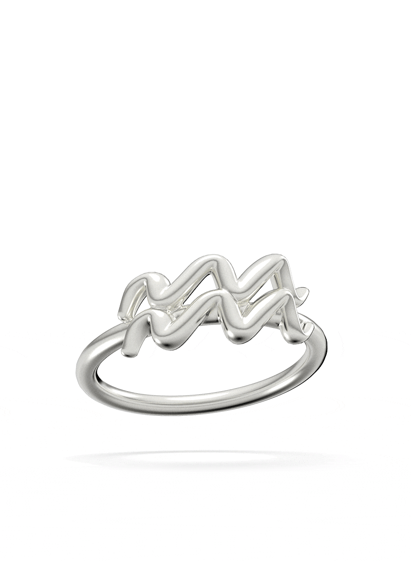 0800 Zodiac Ring 0800 Zodiac Silver